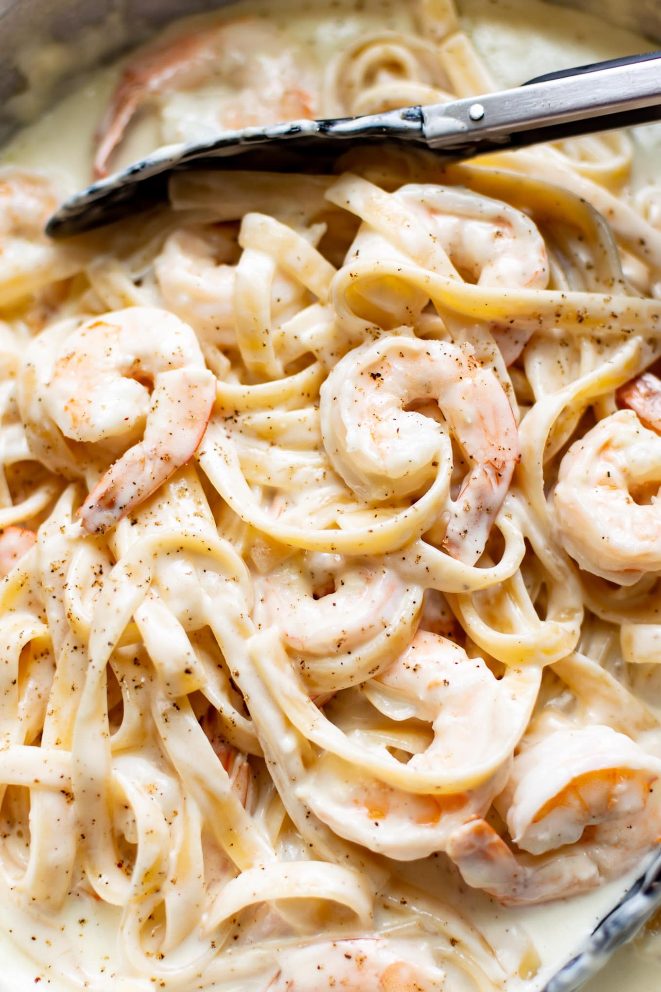 Creamy Shirimp Alfredo Pasta 